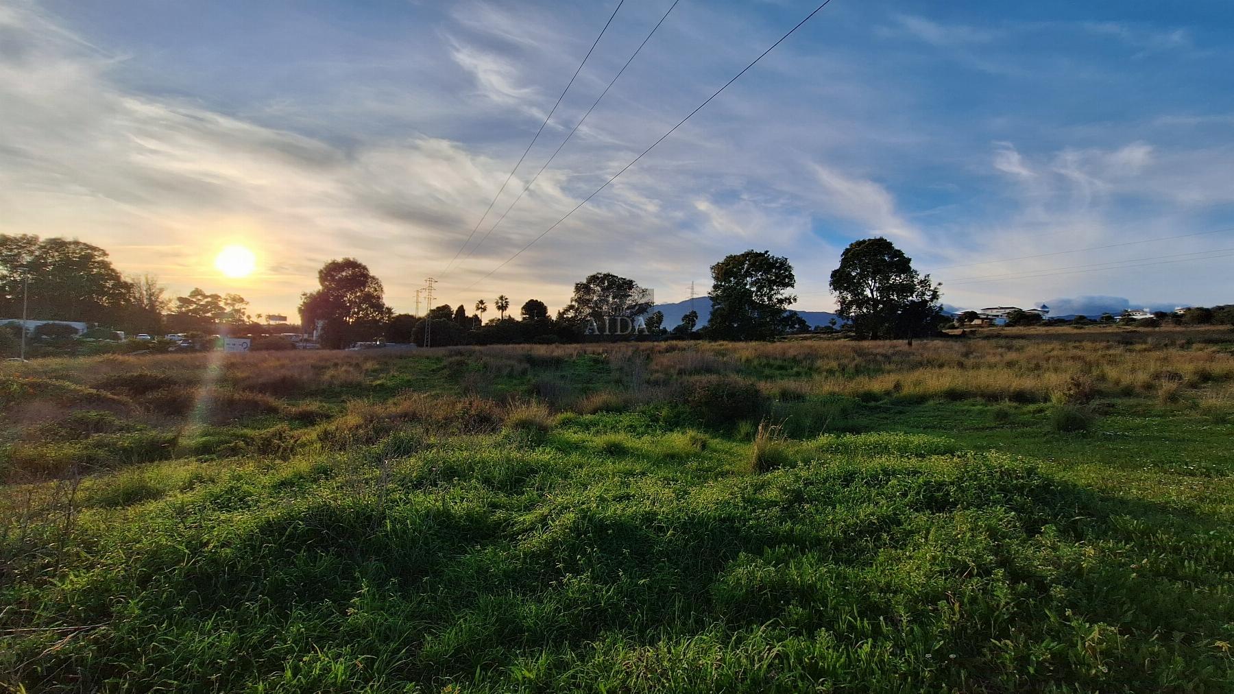 Venta de finca de recreo en Estepona