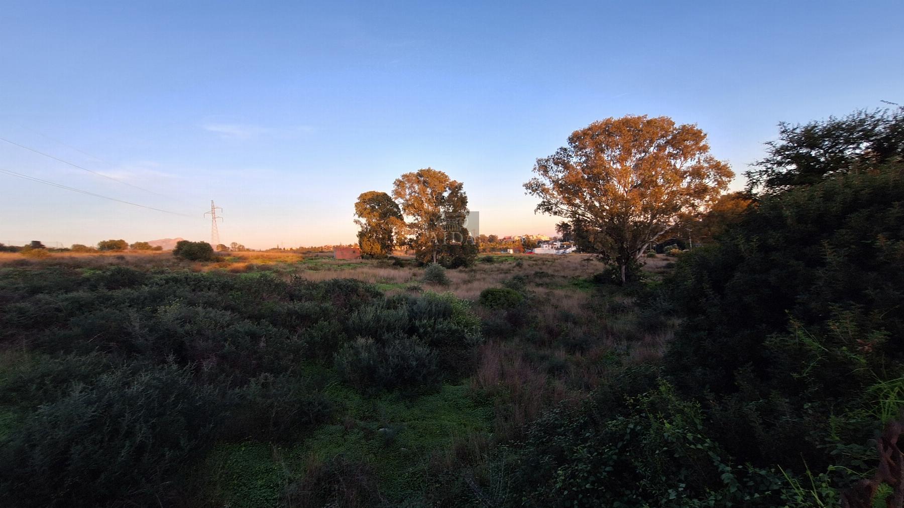 Venta de finca de recreo en Estepona