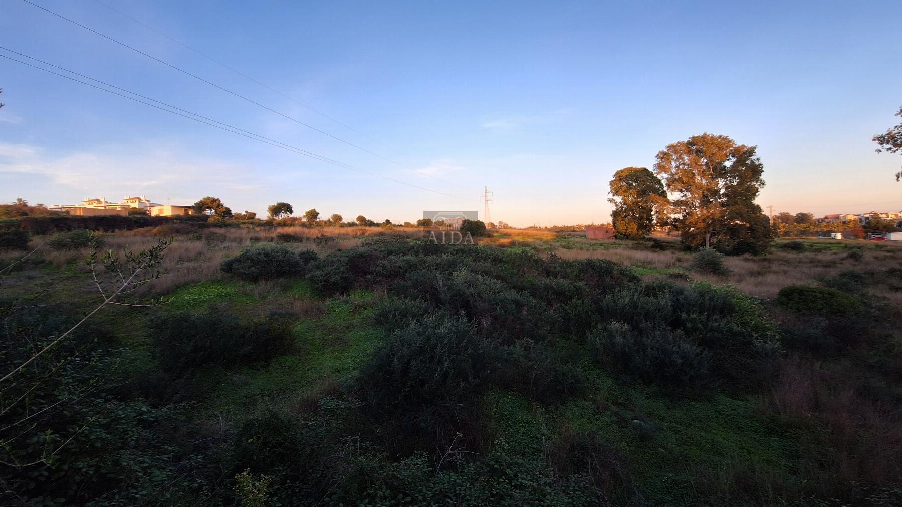 Venta de finca de recreo en Estepona