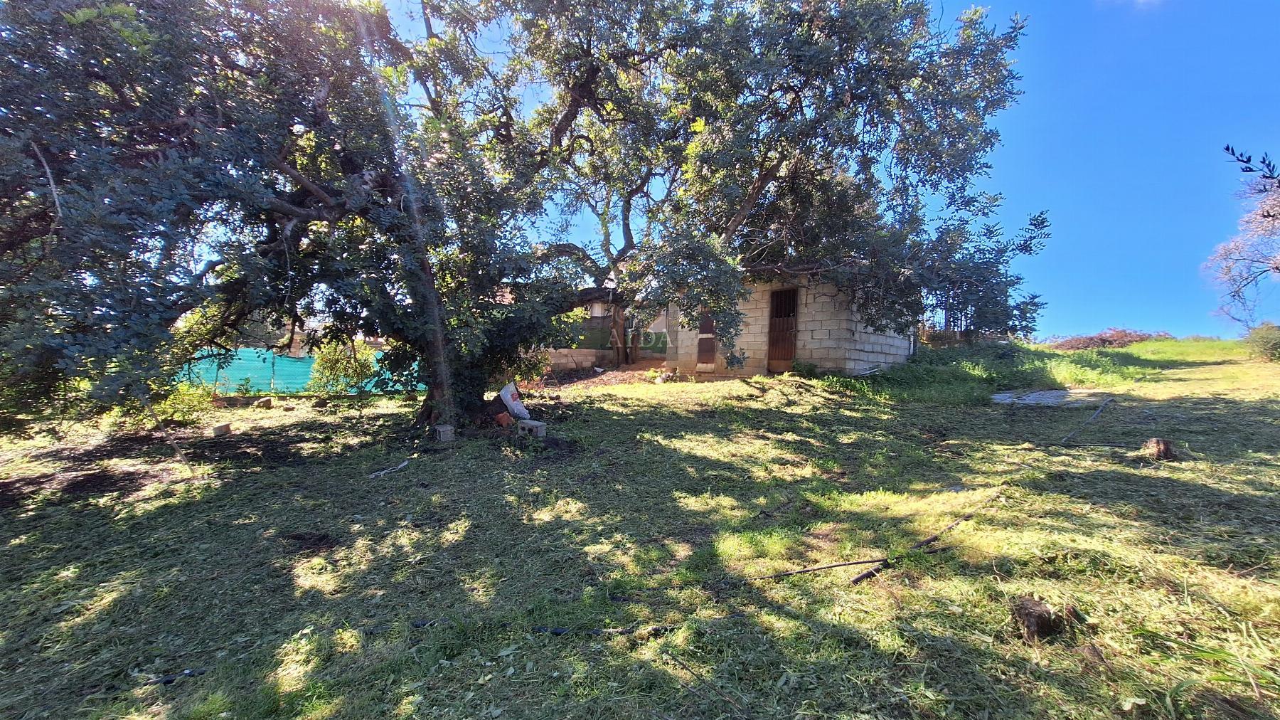 For sale of rural property in Estepona