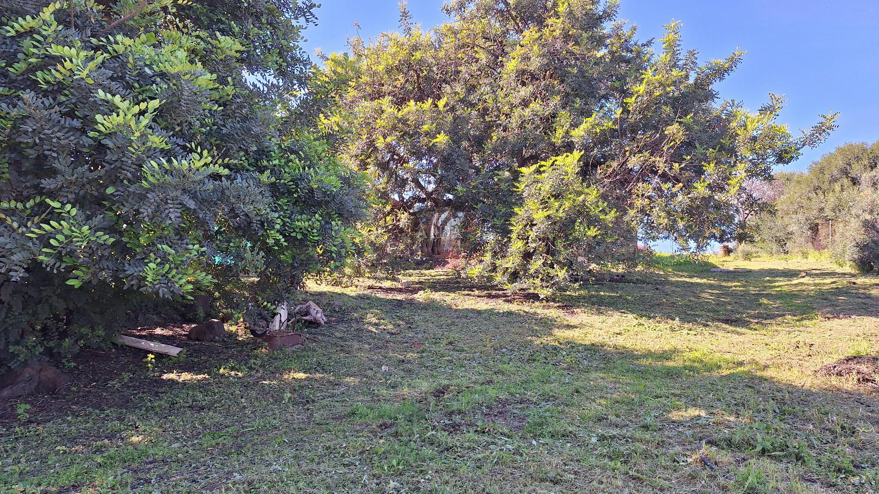 For sale of rural property in Estepona