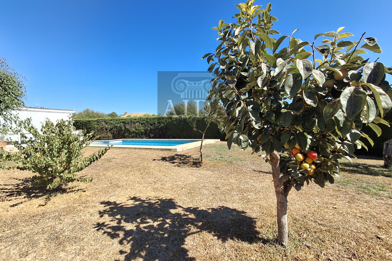 Venta de chalet en Estepona