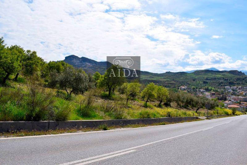 For sale of land in Beas de Granada