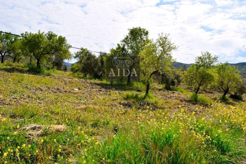 Venta de terreno en Beas de Granada