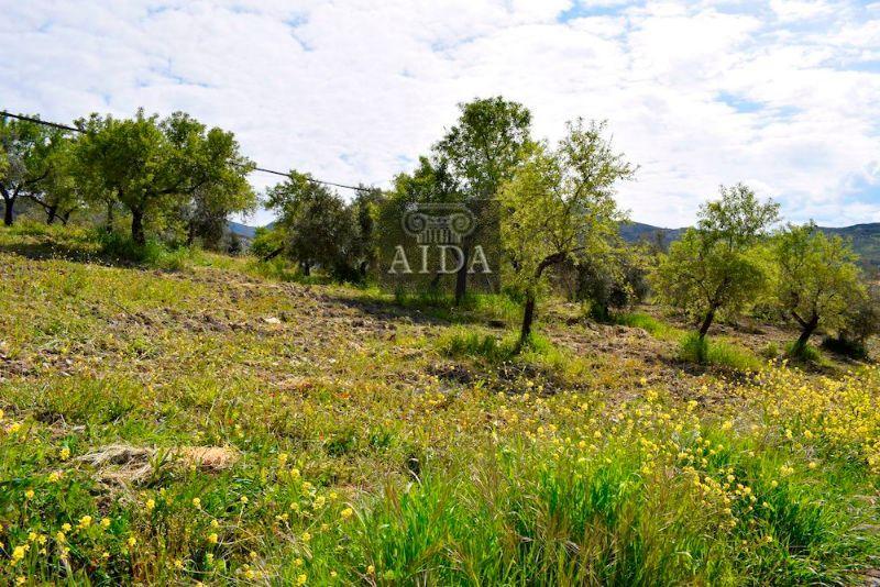 For sale of land in Beas de Granada