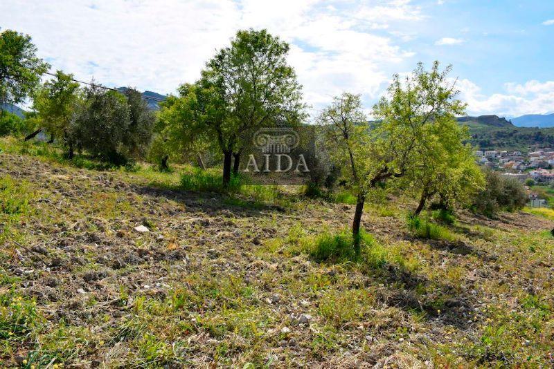 Venta de terreno en Beas de Granada