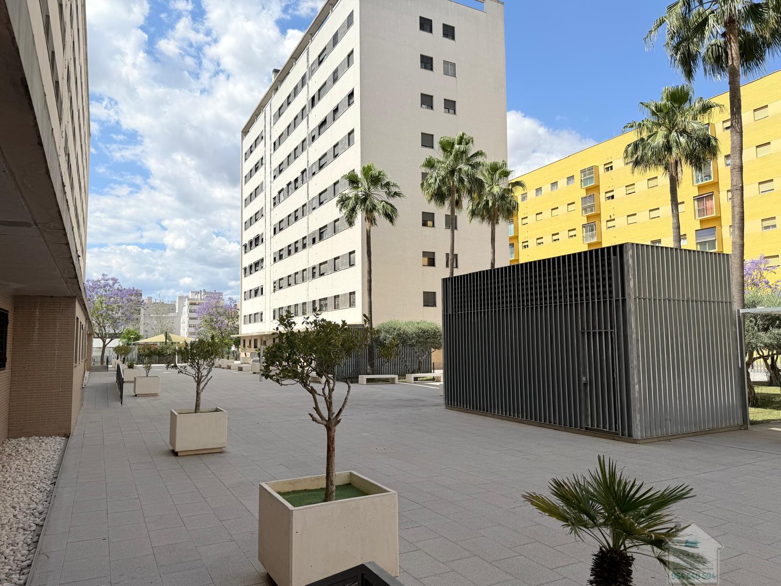 Alquiler de piso en Sevilla