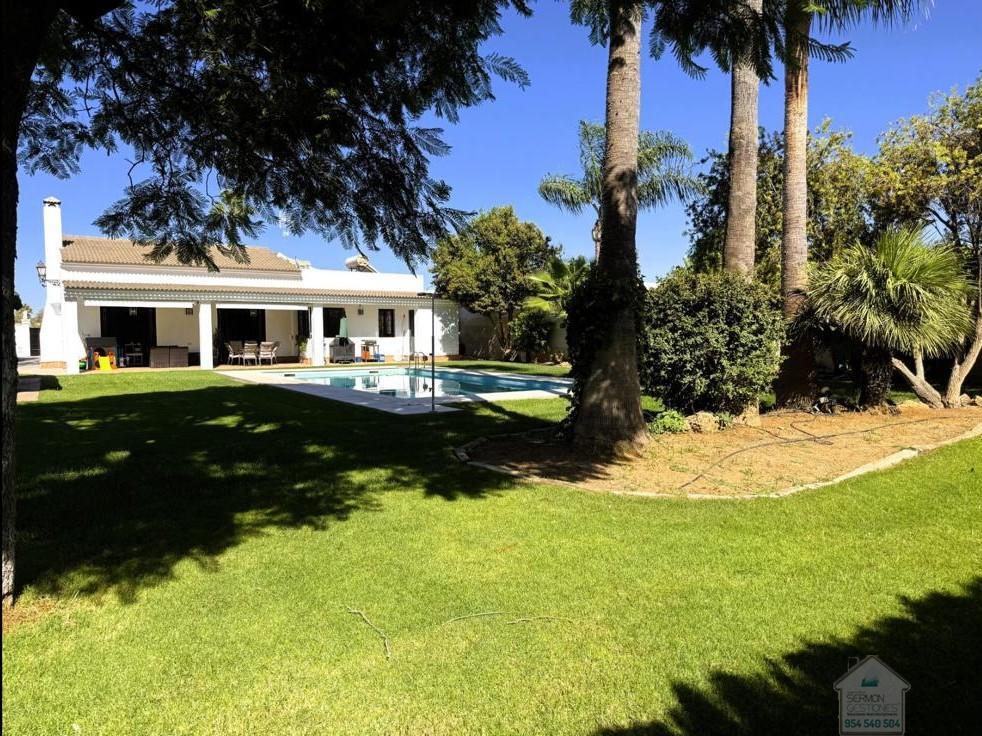 Venta de chalet en San José de la Rinconada