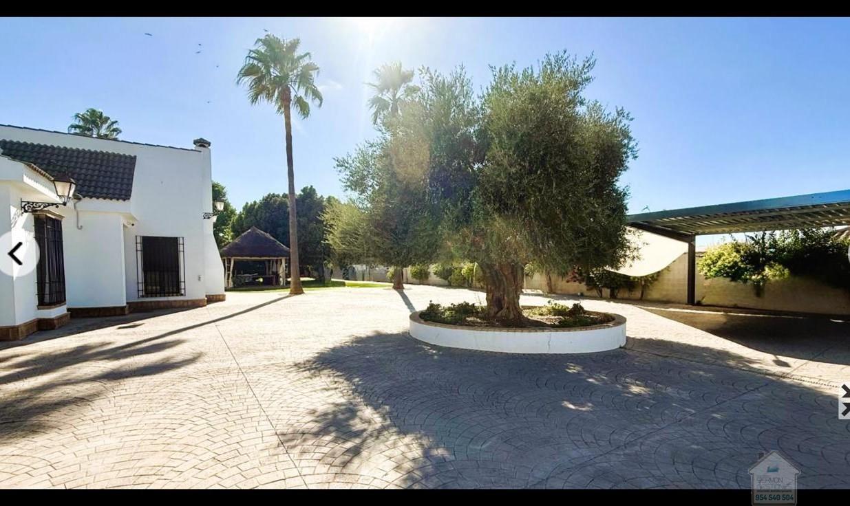 Venta de chalet en San José de la Rinconada