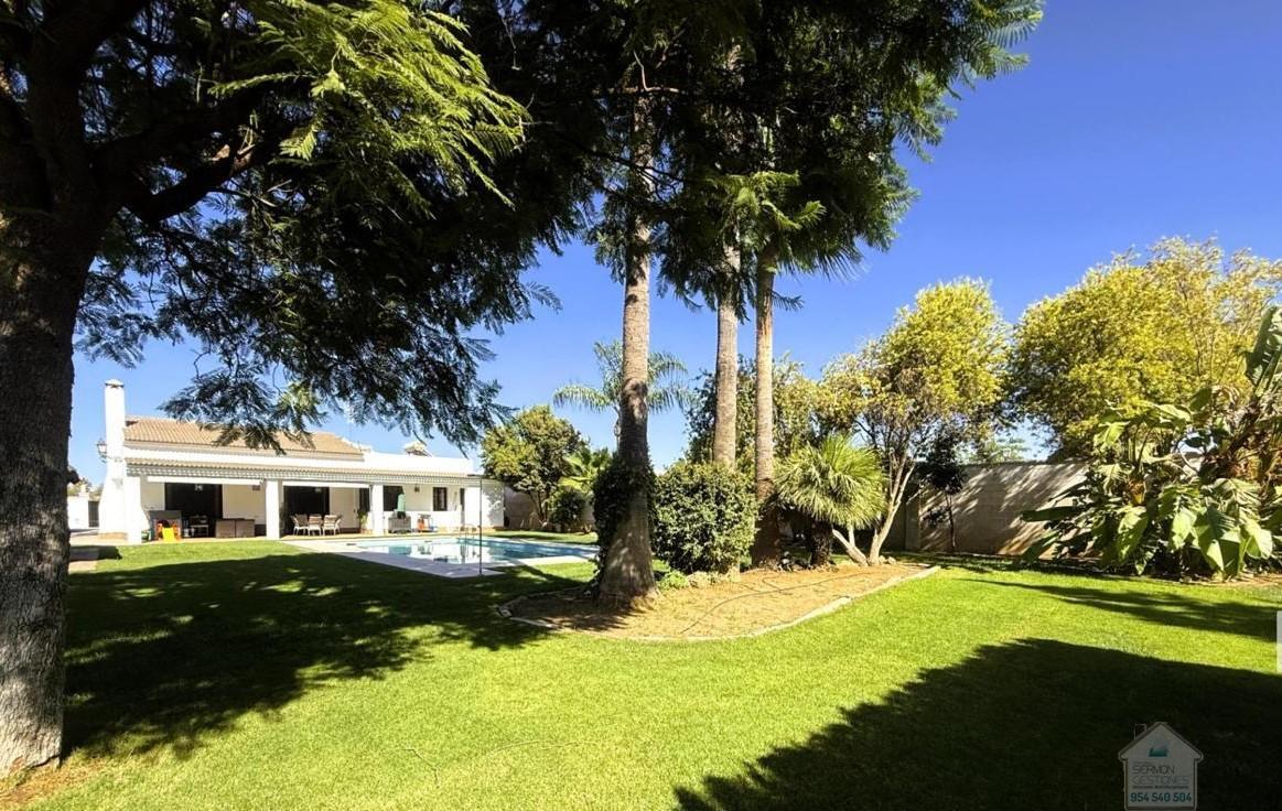 Venta de chalet en San José de la Rinconada