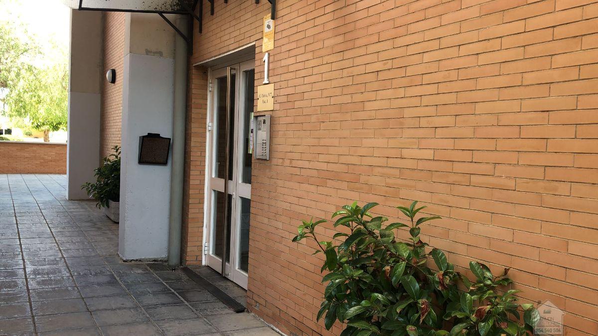 Alquiler de piso en Sevilla