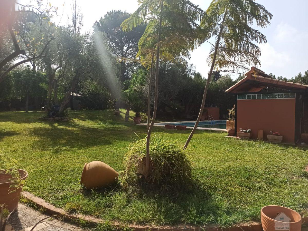 Venta de chalet en Mairena del Aljarafe