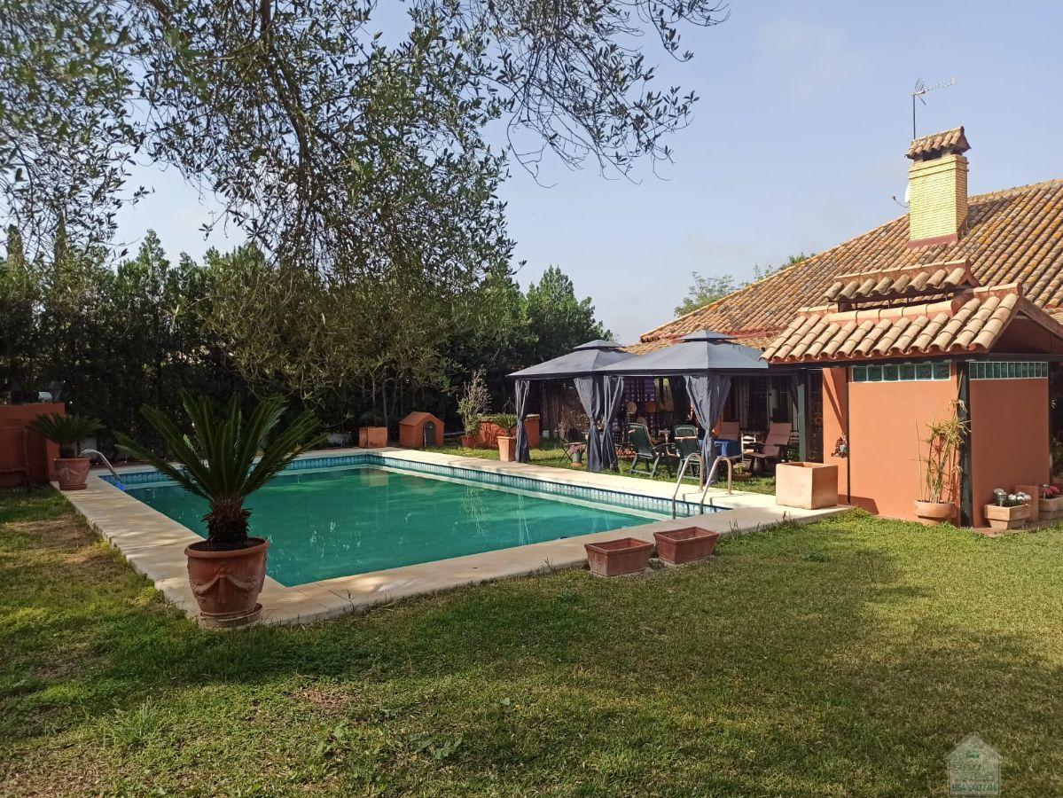 Venta de chalet en Mairena del Aljarafe