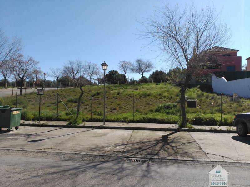 For sale of land in Gelves