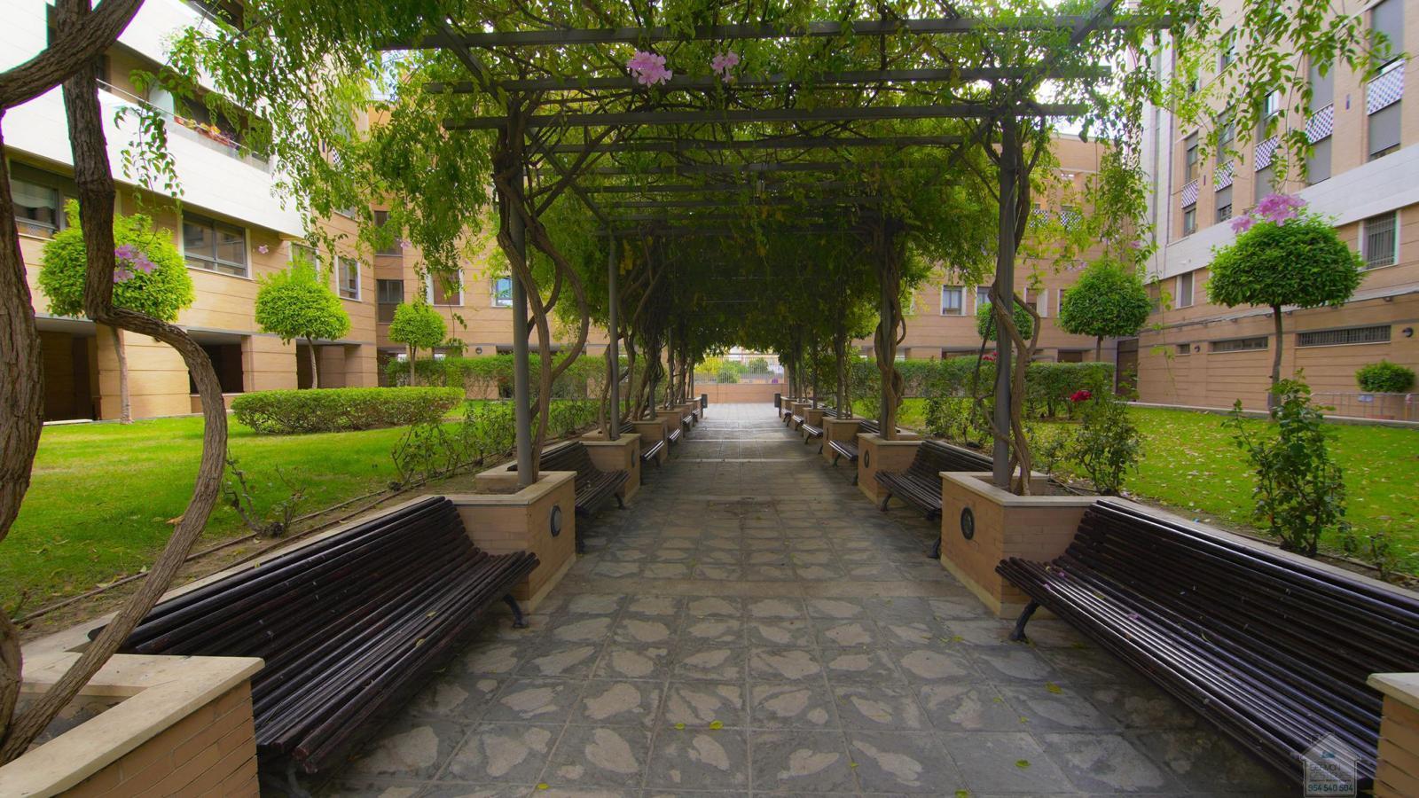For rent of flat in Sevilla