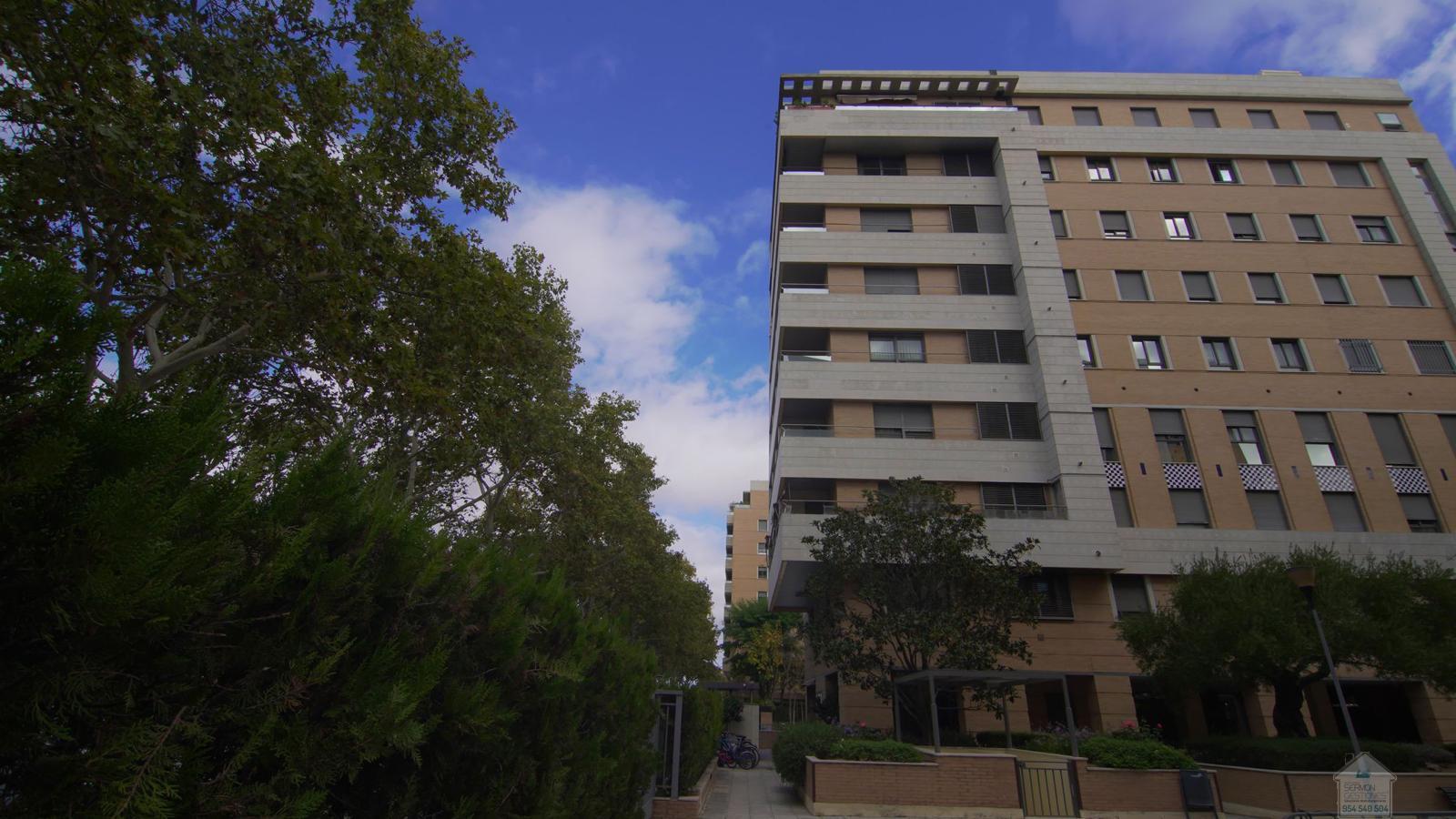 For rent of flat in Sevilla