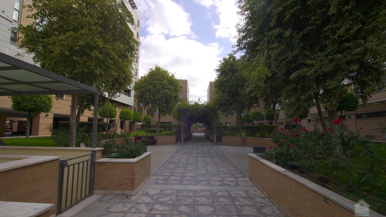 For rent of flat in Sevilla