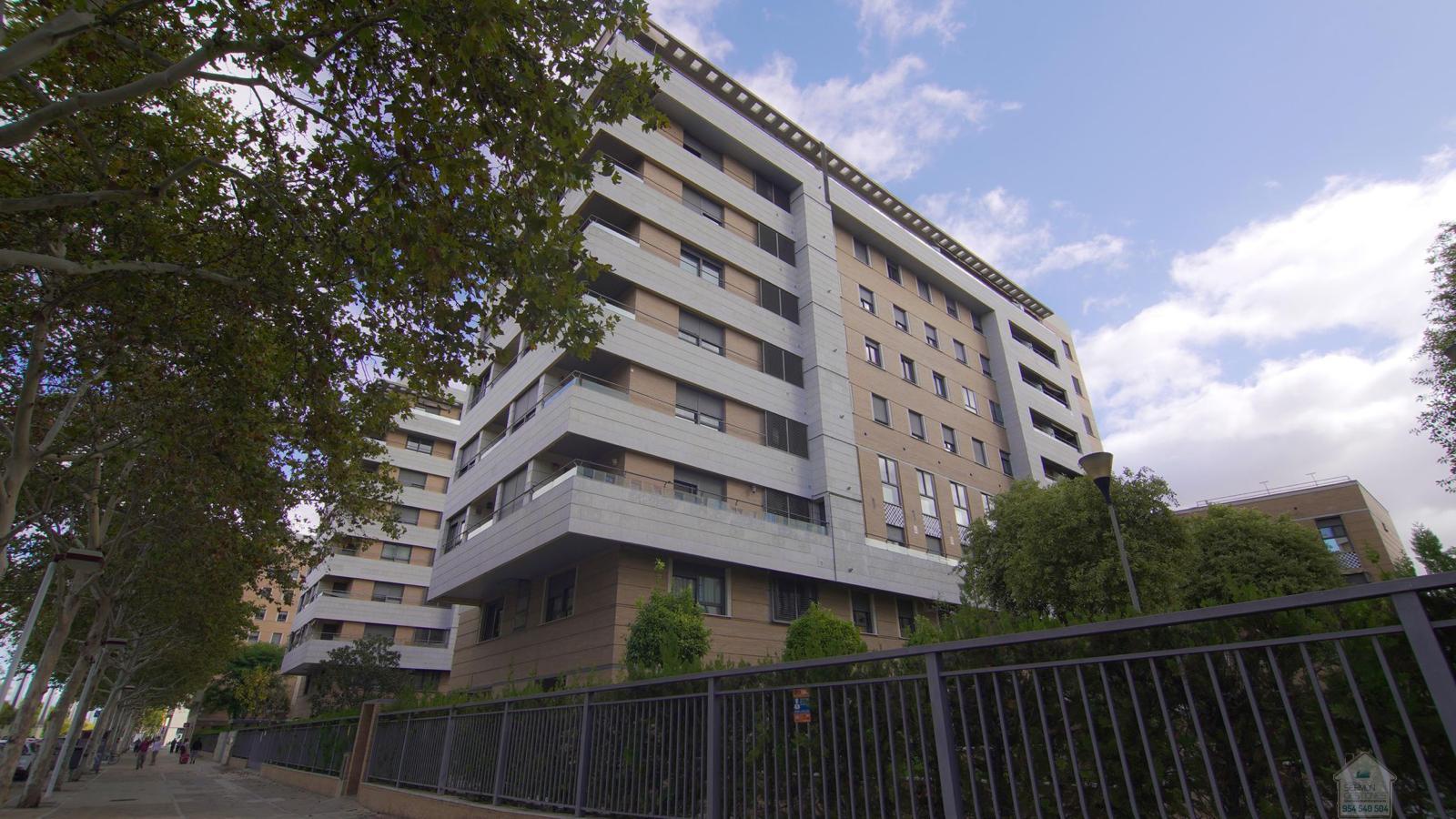 For rent of flat in Sevilla