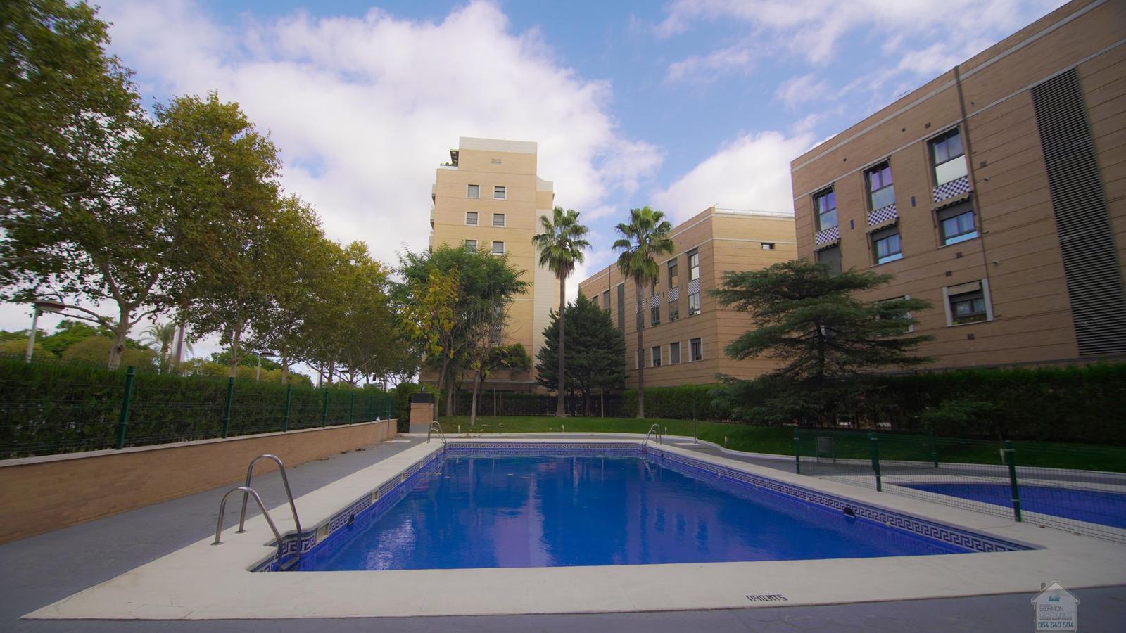 For rent of flat in Sevilla