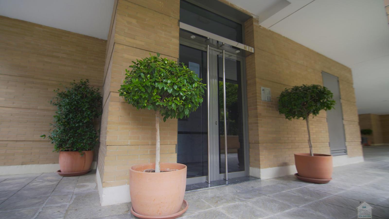 For rent of flat in Sevilla