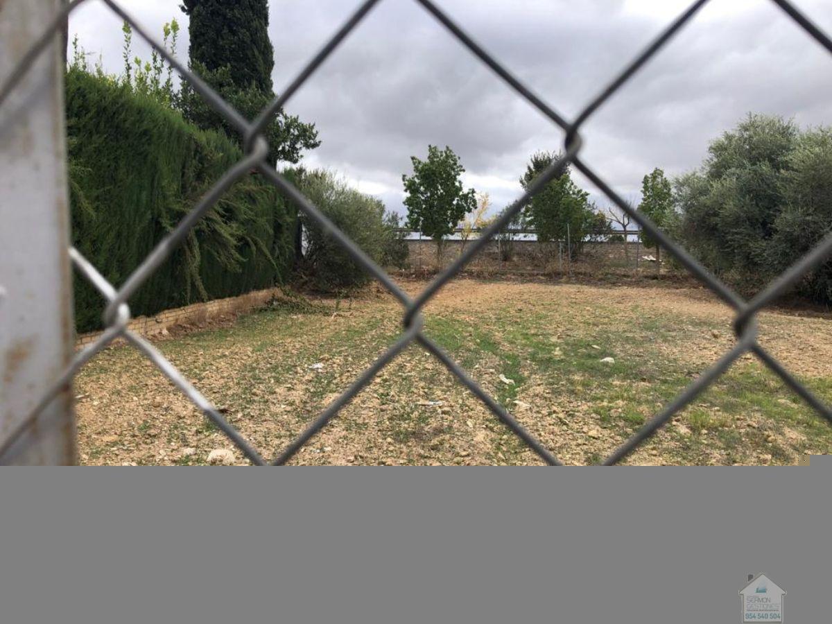 For sale of land in Valencina de la Concepción