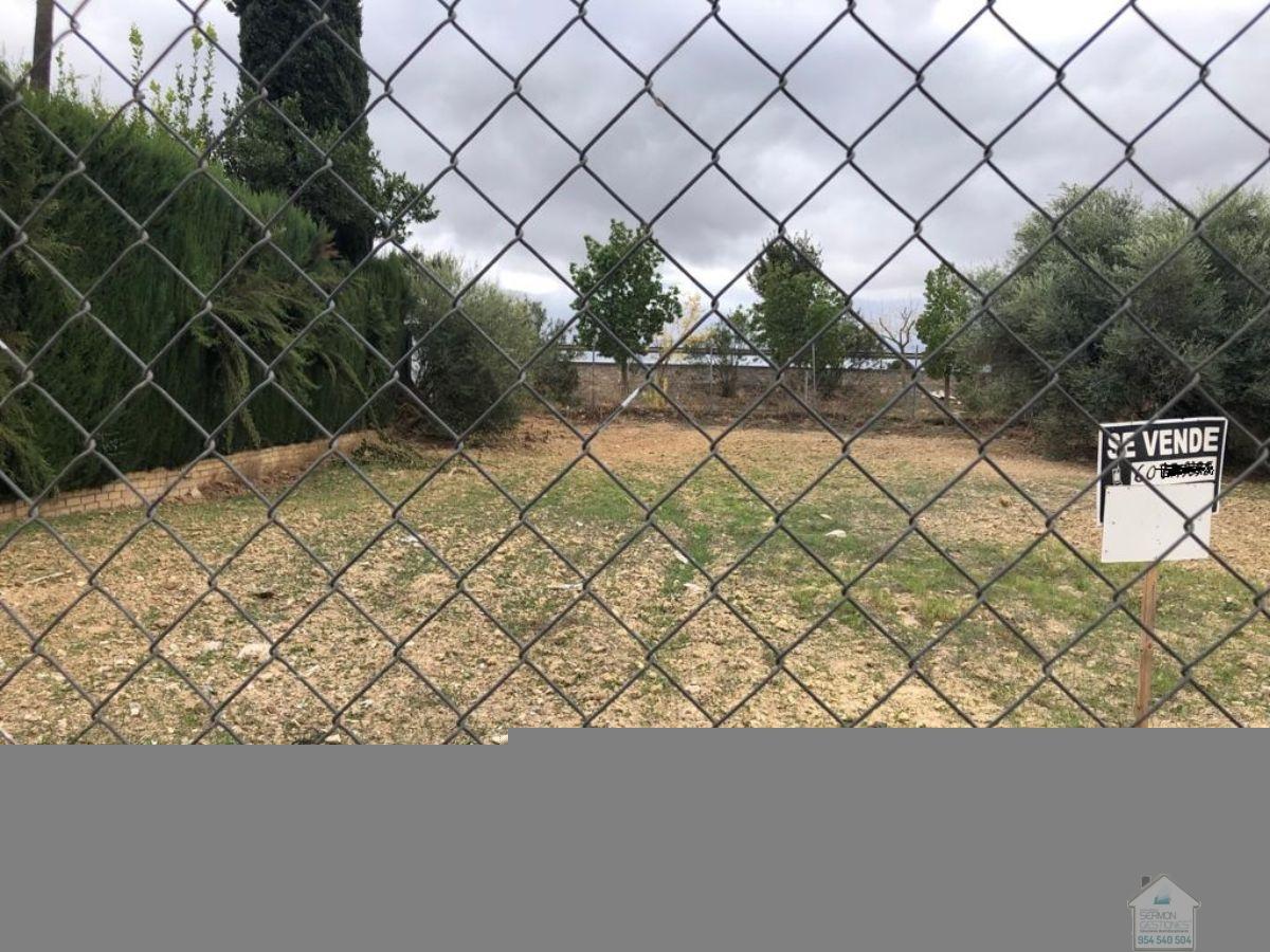 For sale of land in Valencina de la Concepción