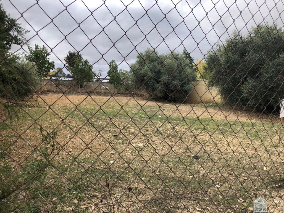 For sale of land in Valencina de la Concepción