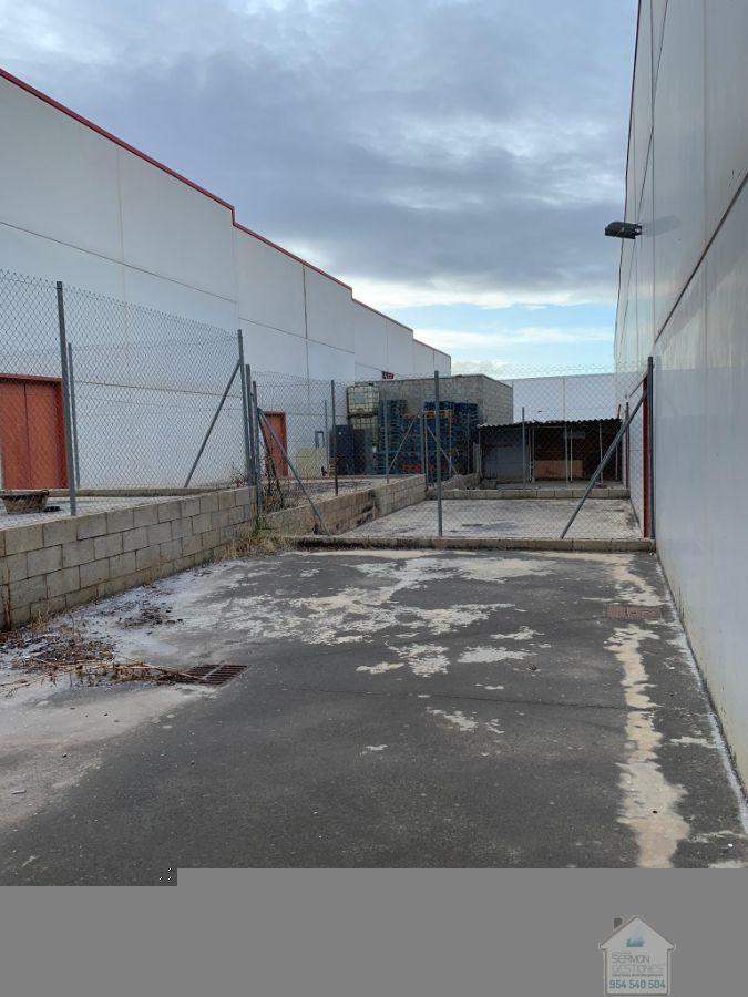 For sale of industrial plant/warehouse in La Palma del Condado