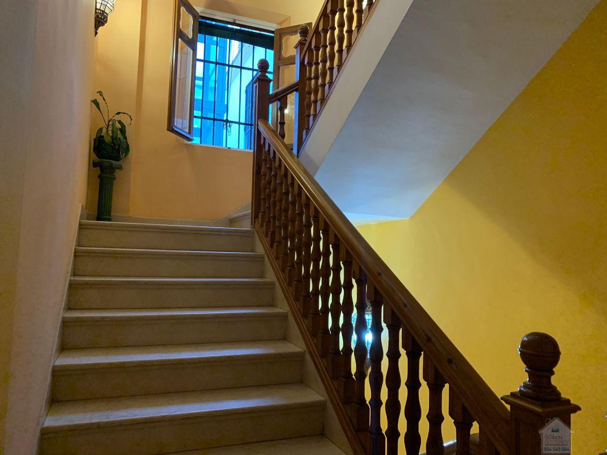 For rent of apartment in Sevilla