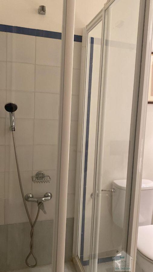 For rent of apartment in Sevilla