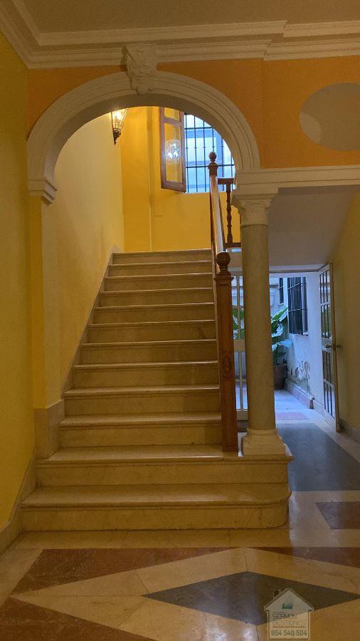 For rent of apartment in Sevilla