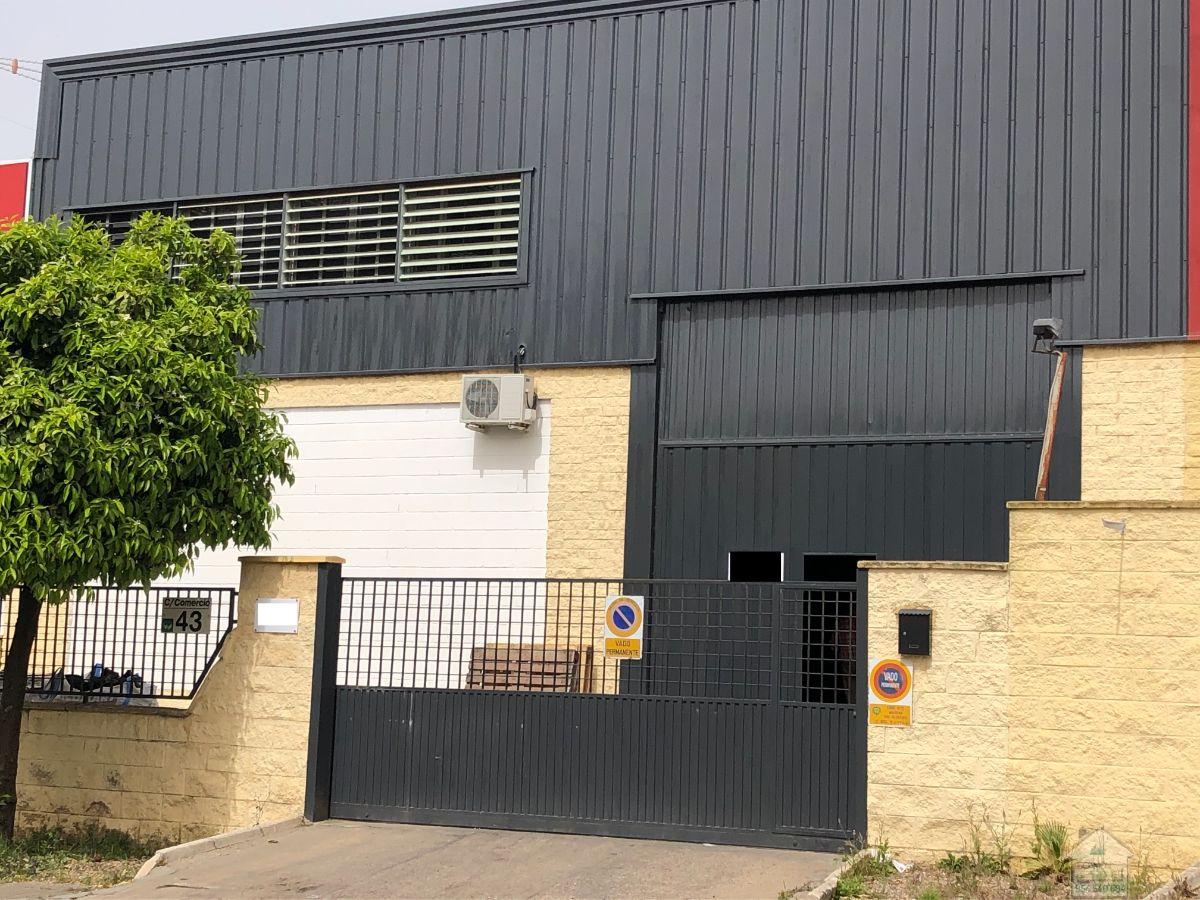 For sale of industrial plant/warehouse in Mairena del Aljarafe