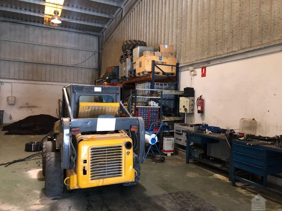 For sale of industrial plant/warehouse in Mairena del Aljarafe