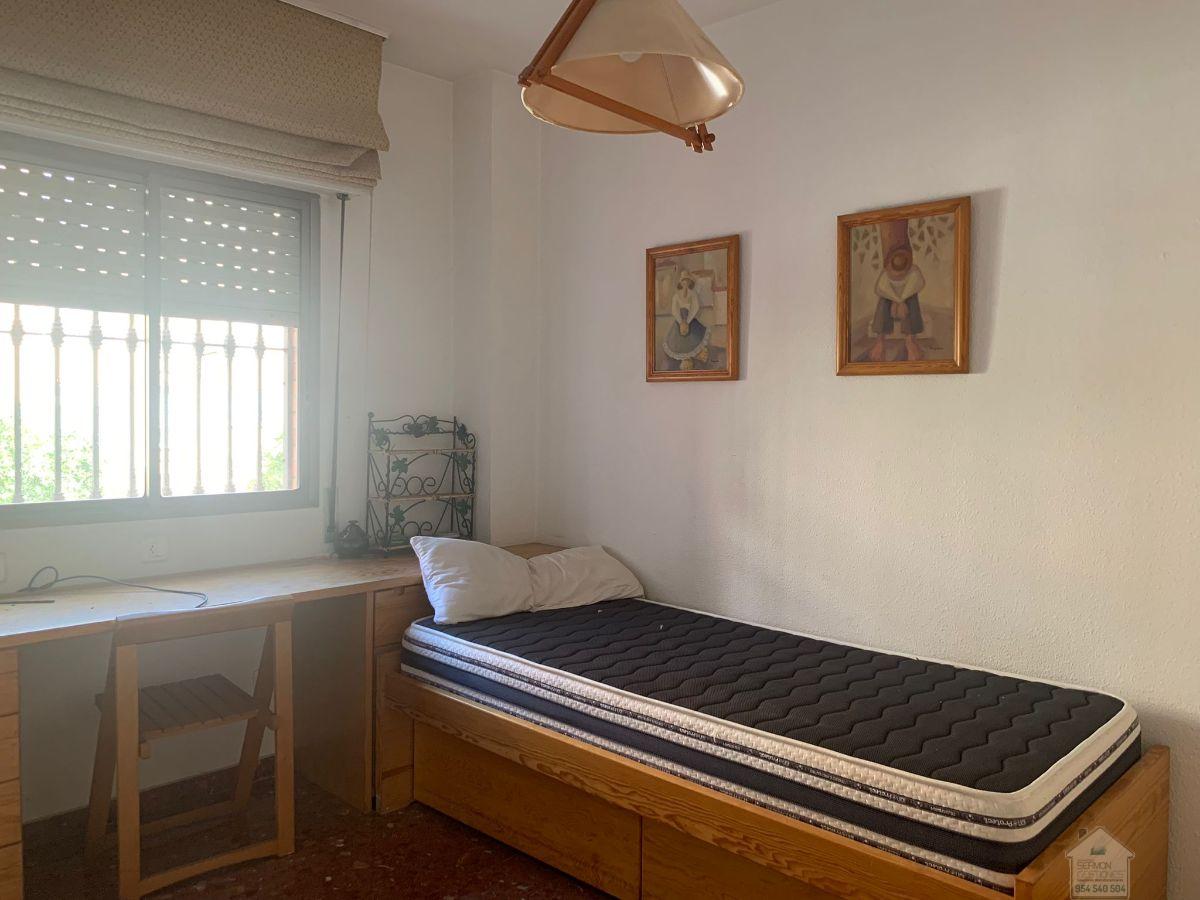 For rent of flat in Sevilla