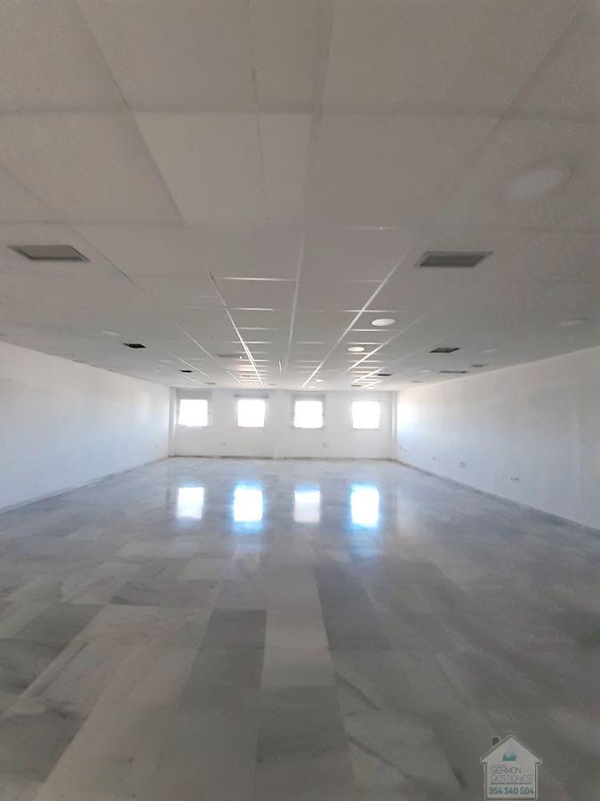 For rent of office in Sevilla