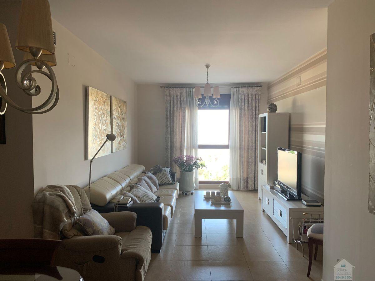 For rent of flat in Sevilla