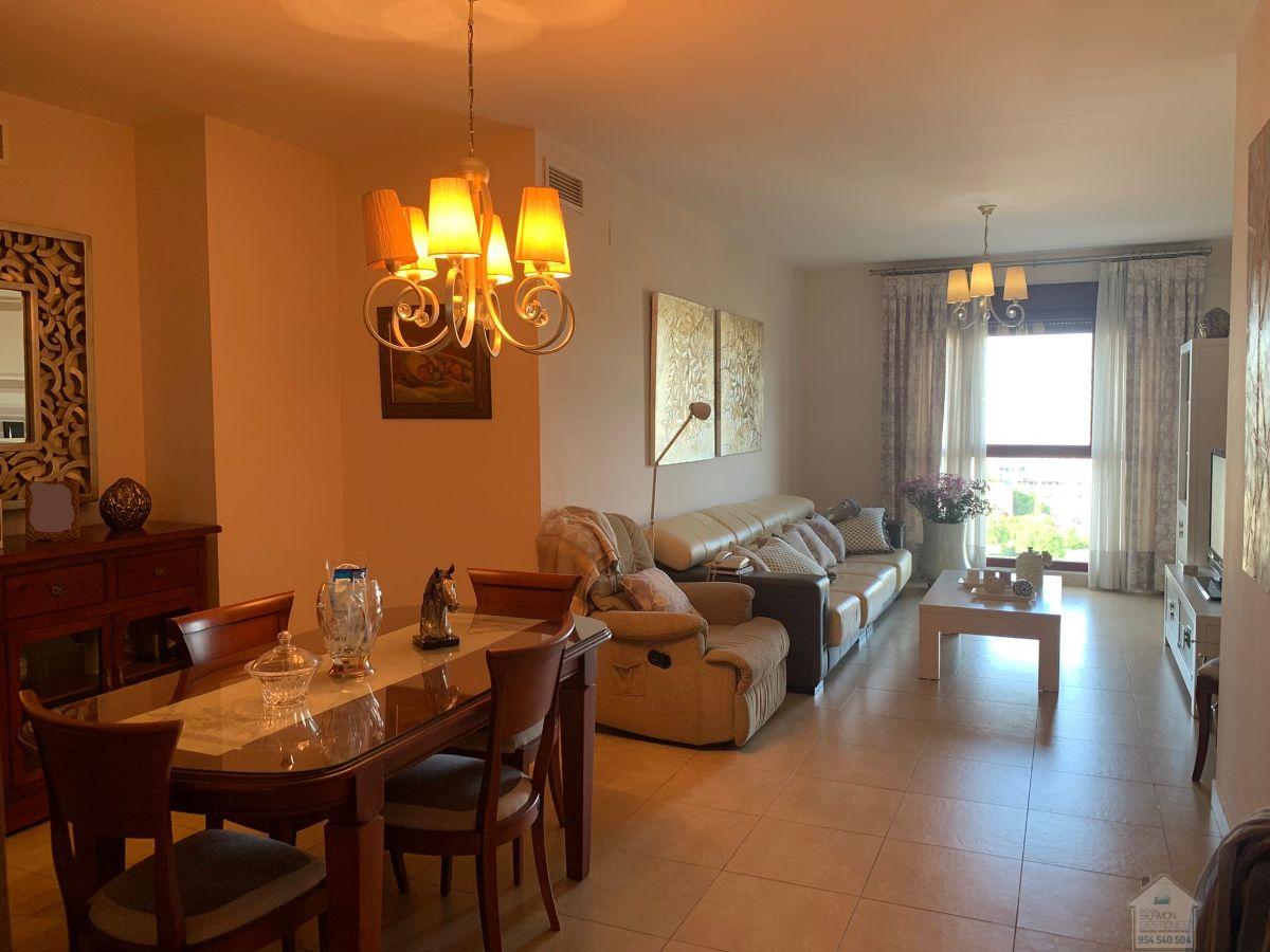 For rent of flat in Sevilla