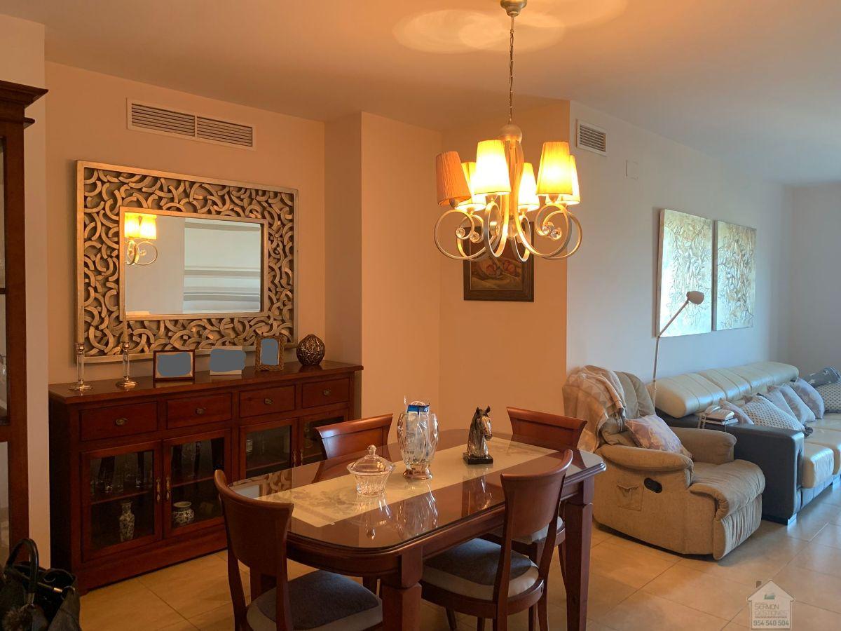 For rent of flat in Sevilla