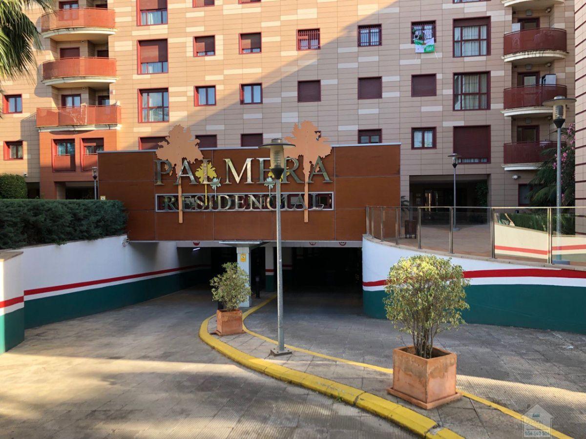 For rent of flat in Sevilla