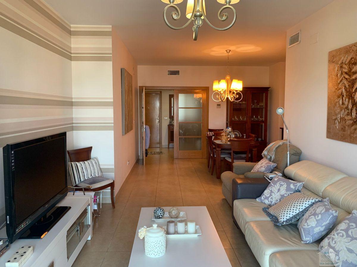 For rent of flat in Sevilla