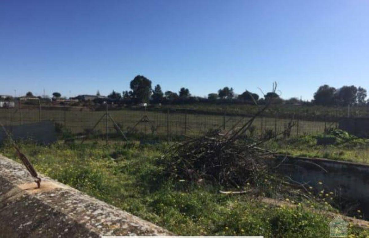 For sale of land in Alcalá de Guadaíra