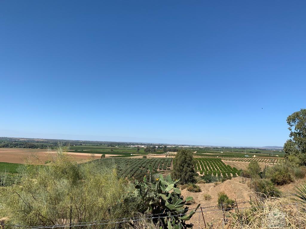 For sale of rural property in Alcolea del Río