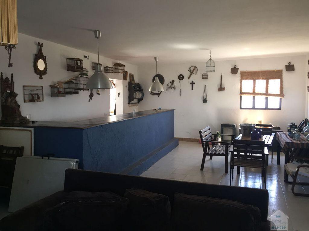 Venta de finca rústica en Alcolea del Río
