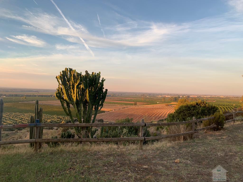 For sale of rural property in Alcolea del Río