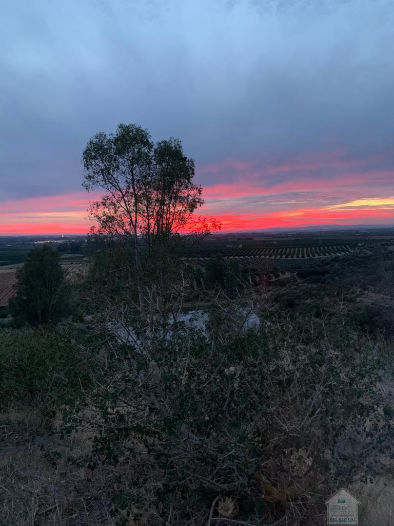 Venta de finca rústica en Alcolea del Río