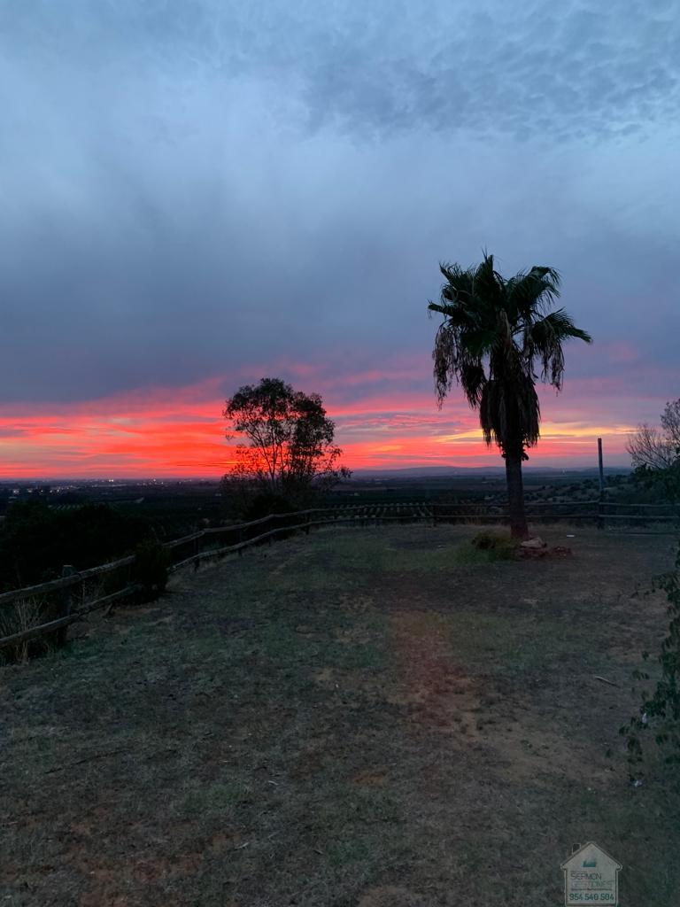 For sale of rural property in Alcolea del Río