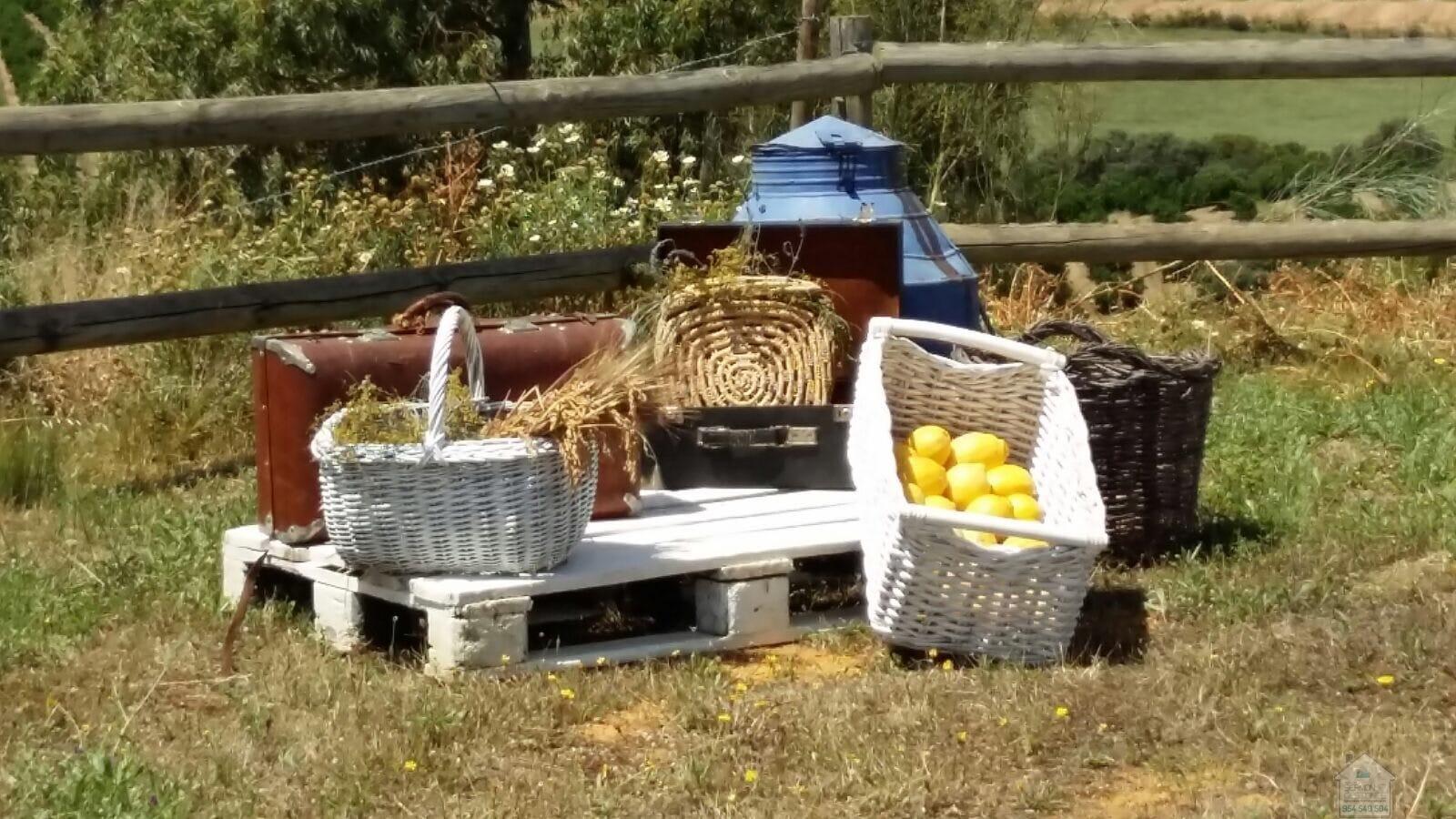 Venta de finca rústica en Alcolea del Río