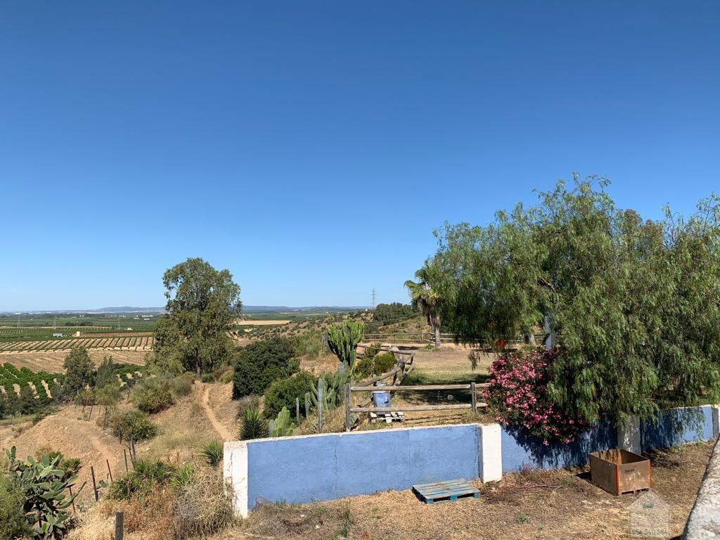 For sale of rural property in Alcolea del Río