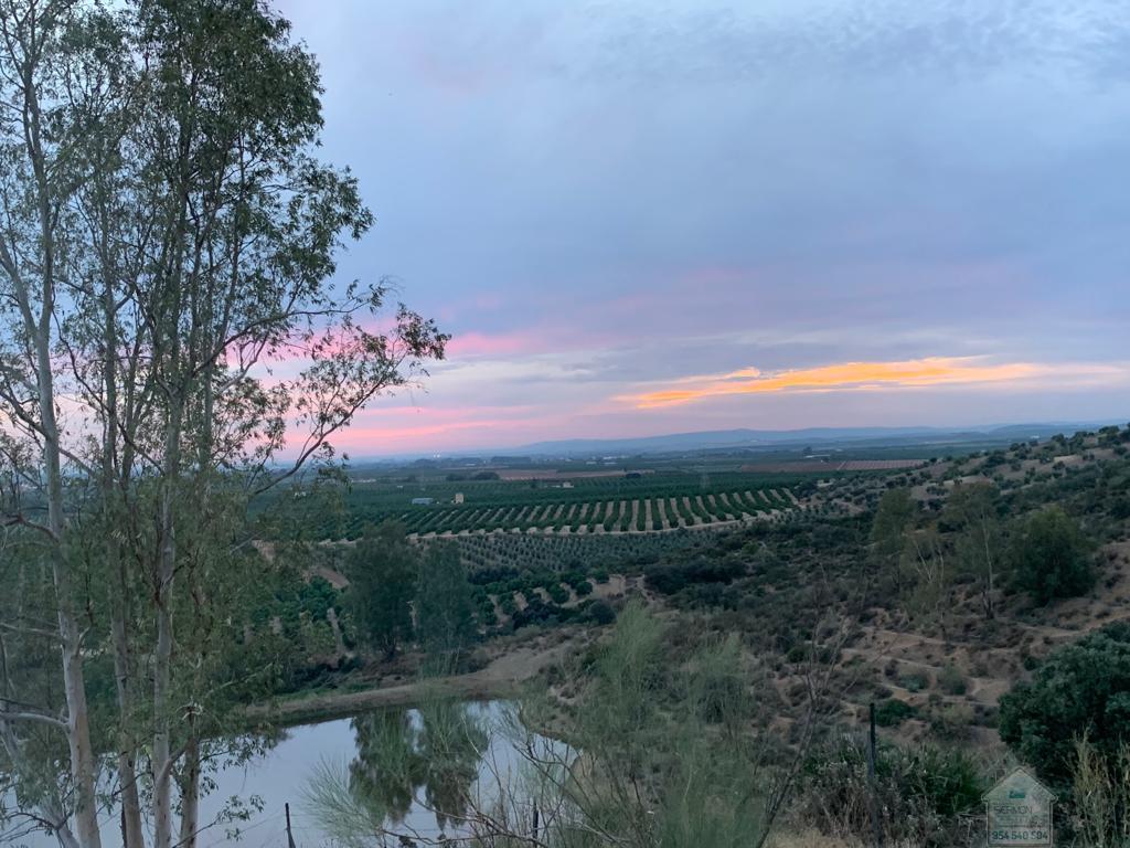 Venta de finca rústica en Alcolea del Río