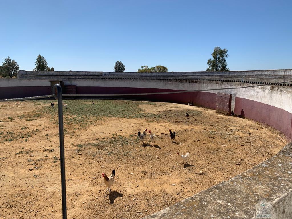 Venta de finca rústica en Alcolea del Río